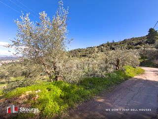 Αγροτεμάχια 9.520 τ.μ. για πώληση, Αργολίδα, Ναύπλιο-thumb-27