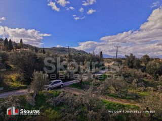 Αγροτεμάχια 9.520 τ.μ. για πώληση, Αργολίδα, Ναύπλιο-thumb-10