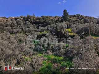 Αγροτεμάχια 9.520 τ.μ. για πώληση, Αργολίδα, Ναύπλιο-thumb-20