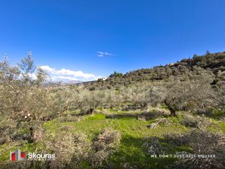 Αγροτεμάχια 9.520 τ.μ. για πώληση, Αργολίδα, Ναύπλιο-thumb-25