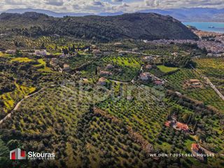 Αγροτεμάχια 9.520 τ.μ. για πώληση, Αργολίδα, Ναύπλιο-thumb-14