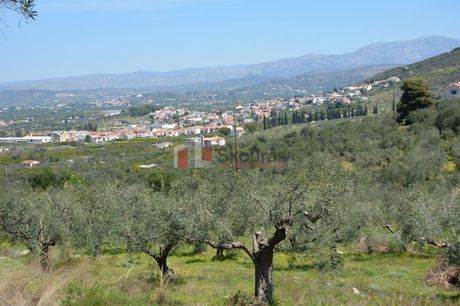 Αγροτεμάχια 9.506τ.μ. για πώληση-Ναύπλιο