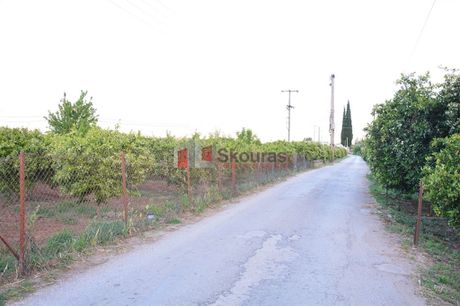 Αγροτεμάχια 5.380τ.μ. για πώληση-Νέα τίρυνθα