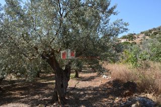 Αγροτεμάχια 4.000 τ.μ. για πώληση, Αργολίδα, Λέρνα-thumb-16