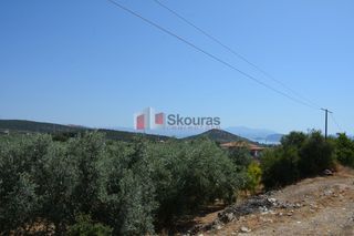 Αγροτεμάχια 4.000 τ.μ. για πώληση, Αργολίδα, Λέρνα-thumb-12