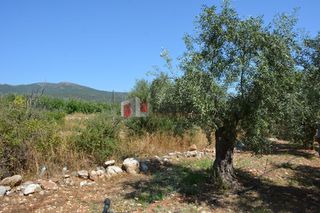 Αγροτεμάχια 4.000 τ.μ. για πώληση, Αργολίδα, Λέρνα-thumb-18