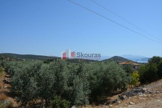 Αγροτεμάχια 4.000 τ.μ. για πώληση, Αργολίδα, Λέρνα-thumb-11