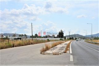 Αγροτεμάχια 15.338 τ.μ. για πώληση, Αργολίδα, Ναύπλιο-thumb-11