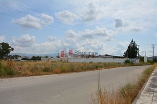 Αγροτεμάχια 15.338 τ.μ. για πώληση, Αργολίδα, Ναύπλιο-thumb-4