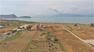 Αγροτεμάχια 15.338 τ.μ. για πώληση, Αργολίδα, Ναύπλιο-thumb-16