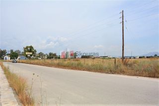 Αγροτεμάχια 15.338 τ.μ. για πώληση, Αργολίδα, Ναύπλιο-thumb-24