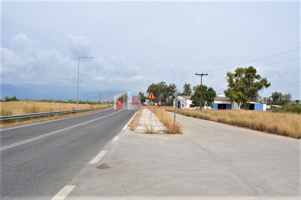Αγροτεμάχια 15.338 τ.μ. προς πώληση, Κέντρο Ναυπλίου