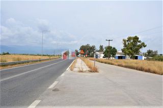 Αγροτεμάχια 15.338 τ.μ. για πώληση, Αργολίδα, Ναύπλιο-thumb-3