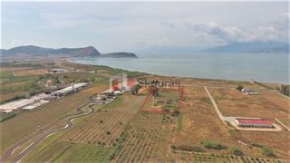 Αγροτεμάχια 15.338 τ.μ. για πώληση, Αργολίδα, Ναύπλιο-thumb-15