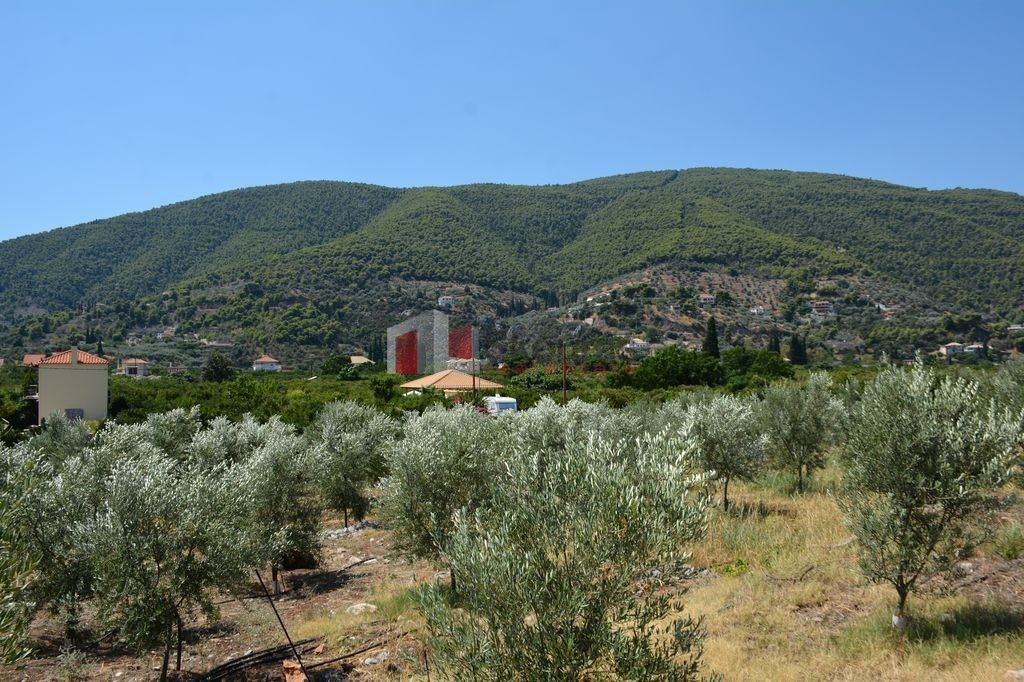 Αγροτεμάχια 5.800 τ.μ. προς πώληση, Νέα Επίδαυρος