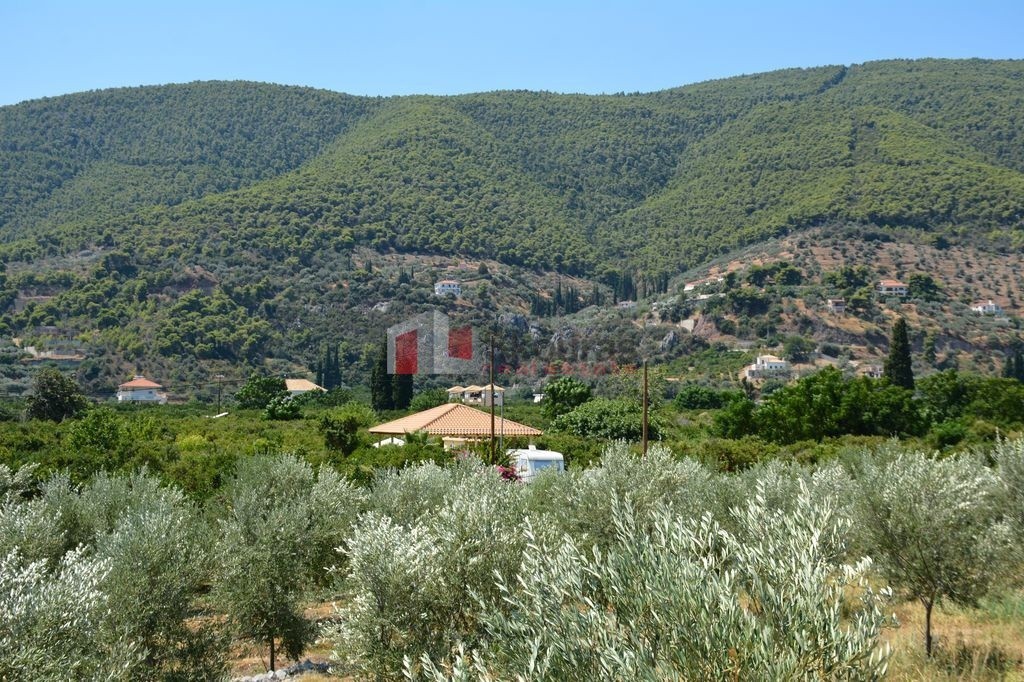 Αγροτεμάχια 5.800 τ.μ. προς πώληση, Νέα Επίδαυρος