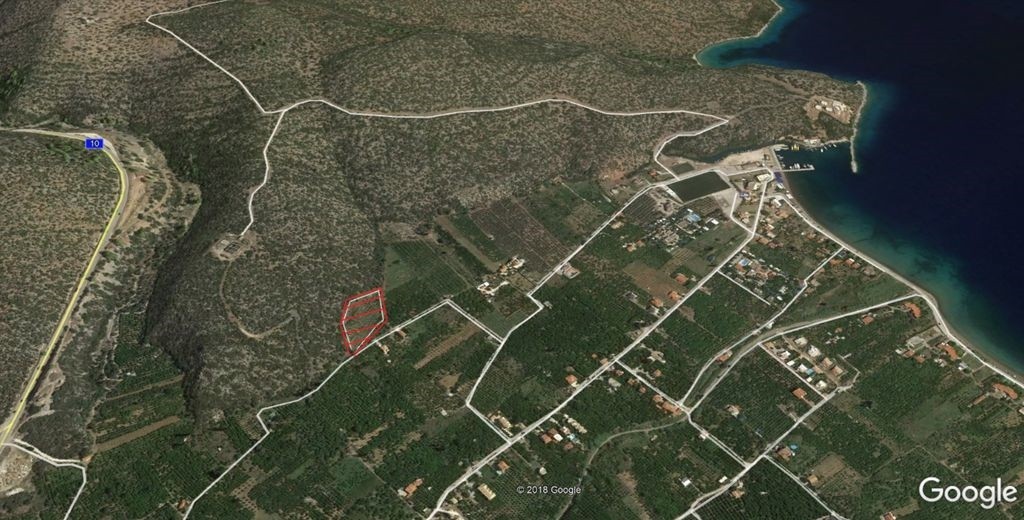 Αγροτεμάχια 5.800 τ.μ. προς πώληση, Νέα Επίδαυρος