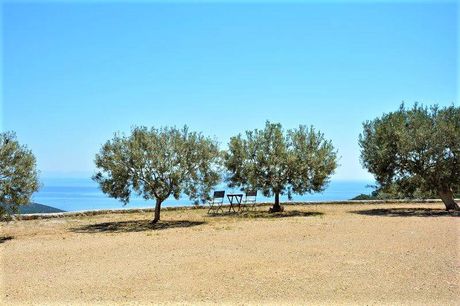 Αγροτεμάχια 4.500τ.μ. για πώληση-Επίδαυρος