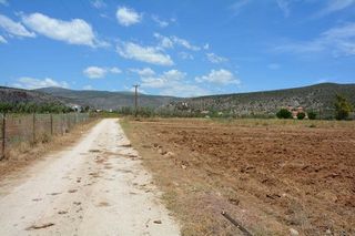 Αγροτεμάχια 4.200 τ.μ. για πώληση, Αργολίδα, Ασίνη-thumb-20