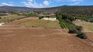 Αγροτεμάχια 4.200 τ.μ. για πώληση, Αργολίδα, Ασίνη-thumb-21