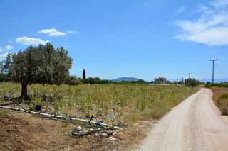 Αγροτεμάχια 4.200 τ.μ. για πώληση, Αργολίδα, Ασίνη-thumb-6