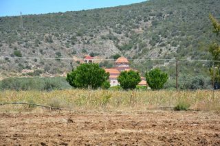 Αγροτεμάχια 4.200 τ.μ. για πώληση, Αργολίδα, Ασίνη-thumb-8
