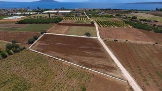Αγροτεμάχια 4.200 τ.μ. για πώληση