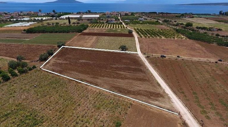 Αγροτεμάχια 4.200 τ.μ. για πώληση, Αργολίδα, Ασίνη