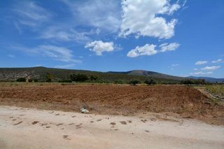 Αγροτεμάχια 4.200 τ.μ. για πώληση, Αργολίδα, Ασίνη-thumb-11