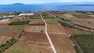 Αγροτεμάχια 4.200 τ.μ. για πώληση, Αργολίδα, Ασίνη-thumb-23