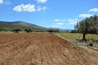 Αγροτεμάχια 4.200 τ.μ. για πώληση, Αργολίδα, Ασίνη-thumb-7