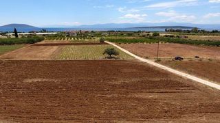 Αγροτεμάχια 4.200 τ.μ. για πώληση, Αργολίδα, Ασίνη-thumb-22