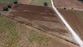 Αγροτεμάχια 4.200 τ.μ. για πώληση, Αργολίδα, Ασίνη-thumb-14