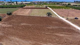 Αγροτεμάχια 4.200 τ.μ. για πώληση, Αργολίδα, Ασίνη-thumb-12