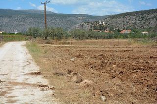 Αγροτεμάχια 4.200 τ.μ. για πώληση, Αργολίδα, Ασίνη-thumb-15