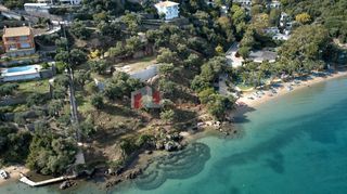 Αγροτεμάχια 6.170 τ.μ. για πώληση