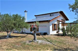 Μονοκατοικία 120 τ.μ. προς πώληση, Δήμαινα-thumb-18