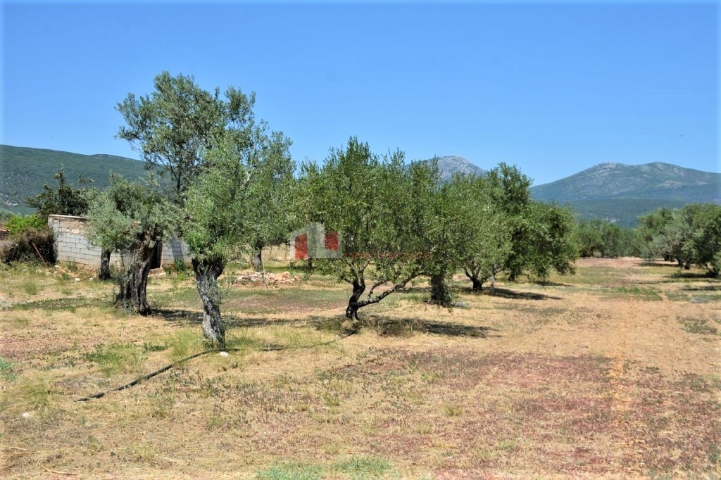 Μονοκατοικία 120 τ.μ. προς πώληση, Αργολίδα, Επίδαυρος