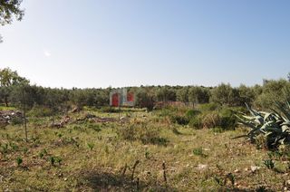 Οικόπεδο 200 τ.μ. για πώληση, Αργολίδα, Ασίνη-thumb-13