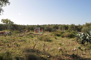 Οικόπεδο 200 τ.μ. για πώληση, Αργολίδα, Ασίνη-thumb-14