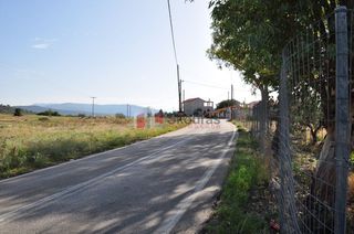 Οικόπεδο 200 τ.μ. για πώληση, Αργολίδα, Ασίνη-thumb-5