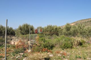 Οικόπεδο 200 τ.μ. για πώληση, Αργολίδα, Ασίνη-thumb-20