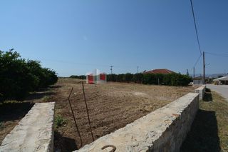 Οικόπεδο 1.260 τ.μ. για πώληση, Αργολίδα, Άργος-thumb-6