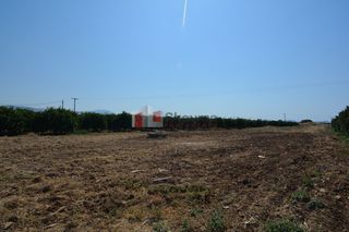Οικόπεδο 1.260 τ.μ. για πώληση, Αργολίδα, Άργος-thumb-11