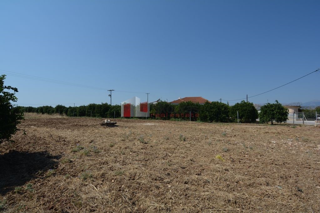 Οικόπεδο 1.260 τ.μ. για πώληση, Αργολίδα, Άργος