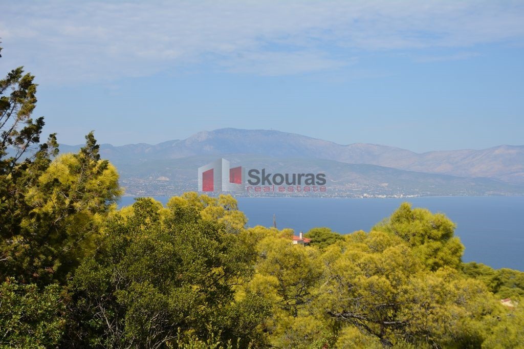 Οικόπεδο 1.030 τ.μ. προς πώληση, Σολύγεια