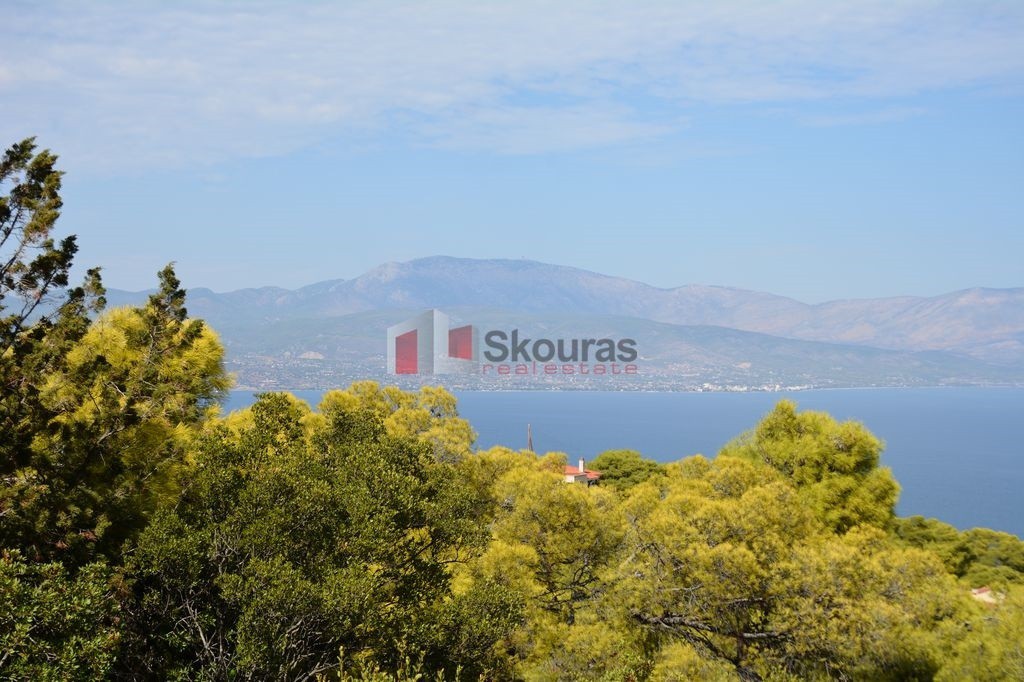 Οικόπεδο 1.030 τ.μ. προς πώληση, Σολύγεια