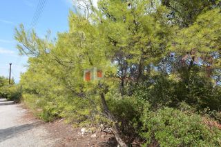 Οικόπεδο 1.030 τ.μ. για πώληση, Κορινθία, Σολύγεια-thumb-13
