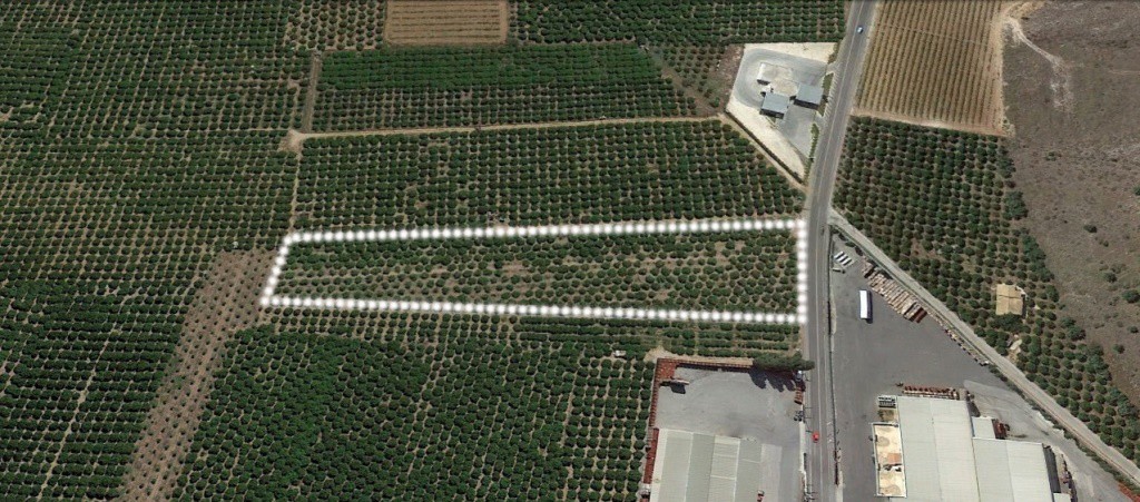 Αγροτεμάχια 8.000 τ.μ. προς πώληση, Τίρυνθα