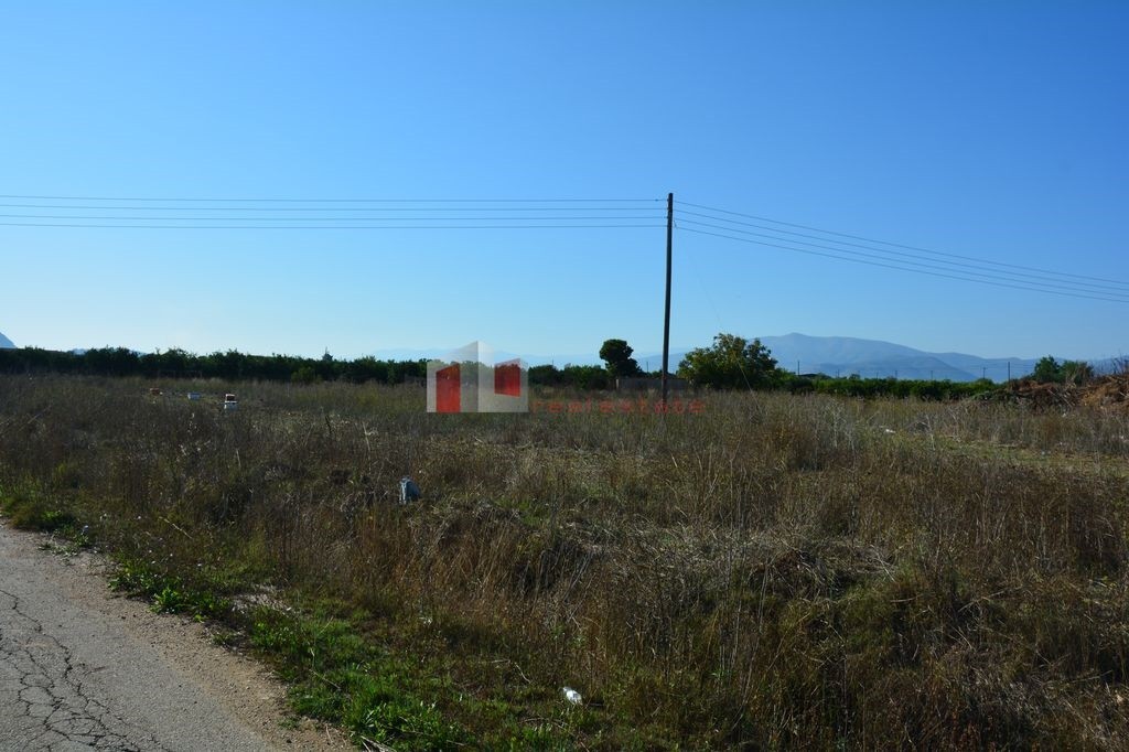 Αγροτεμάχια 7.500 τ.μ. προς πώληση, Δαλαμανάρα